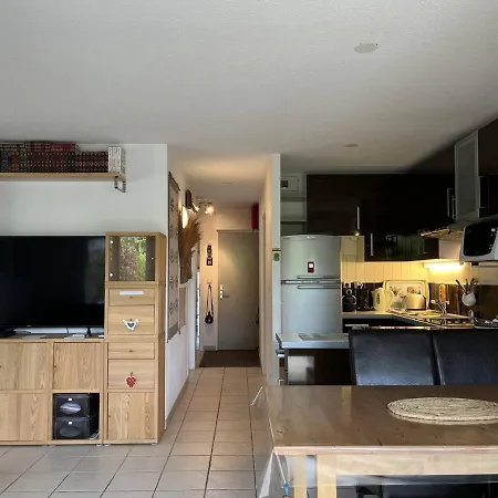 Appartement Villard-de-lans, 3 Pièces, 4 Personnes - Fr-1-548-24 *